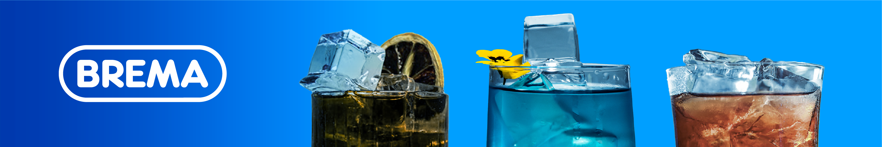 BREMA Banner Background